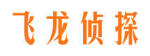 凌河市婚姻调查